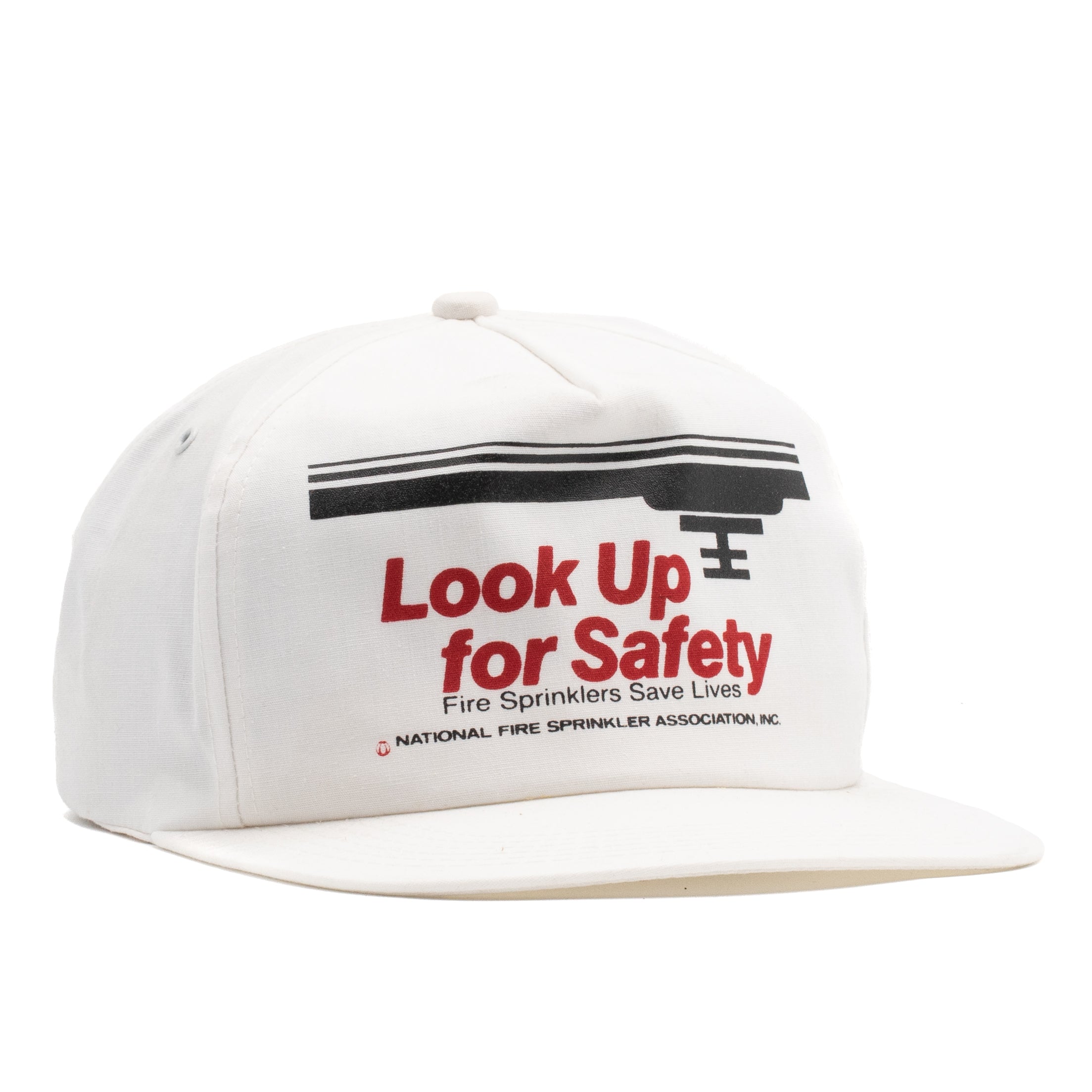 Snag It Snapback