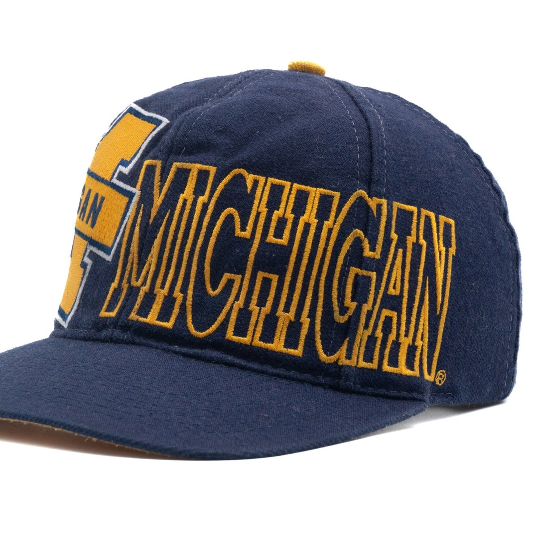 University Of Michigan