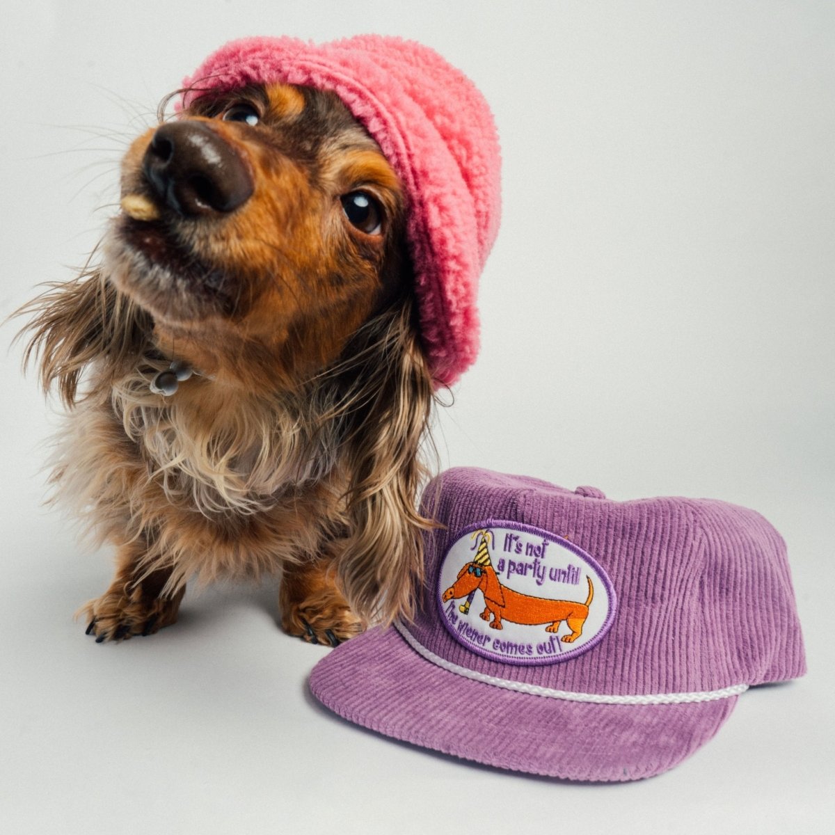 Cats & Dogs Hats - SNAG