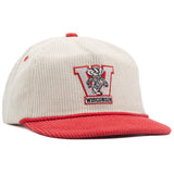 Wisconsin Badgers