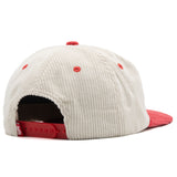 Wisconsin Badgers