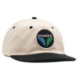Snowbird