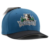 Minnesota Timberwolves