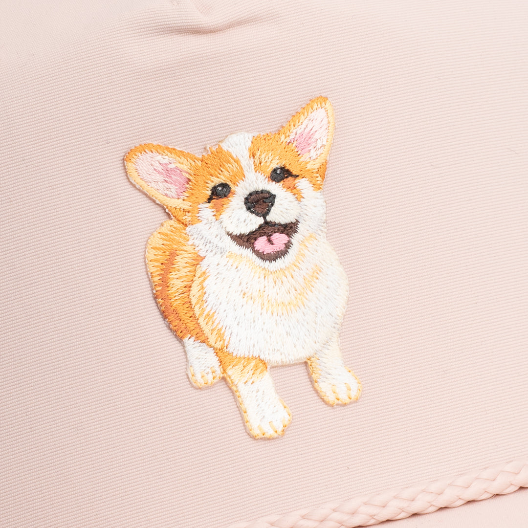 Corgi