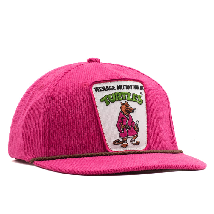 Teenage Mutant Ninja Turtles Splinter