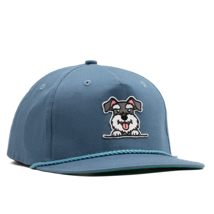 Schnauzer