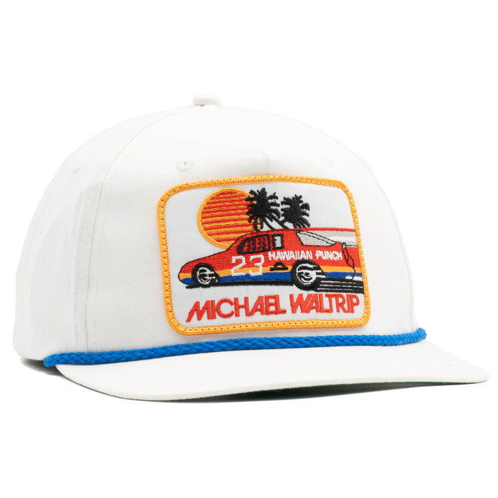 Michael Waltrip