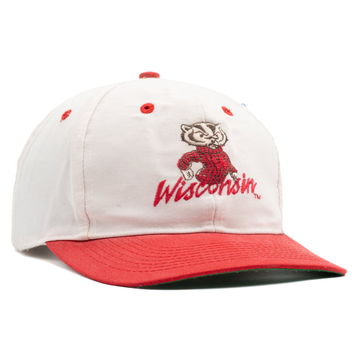 Wisconsin Badgers