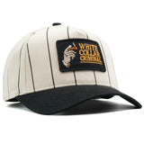 White Collar Criminal