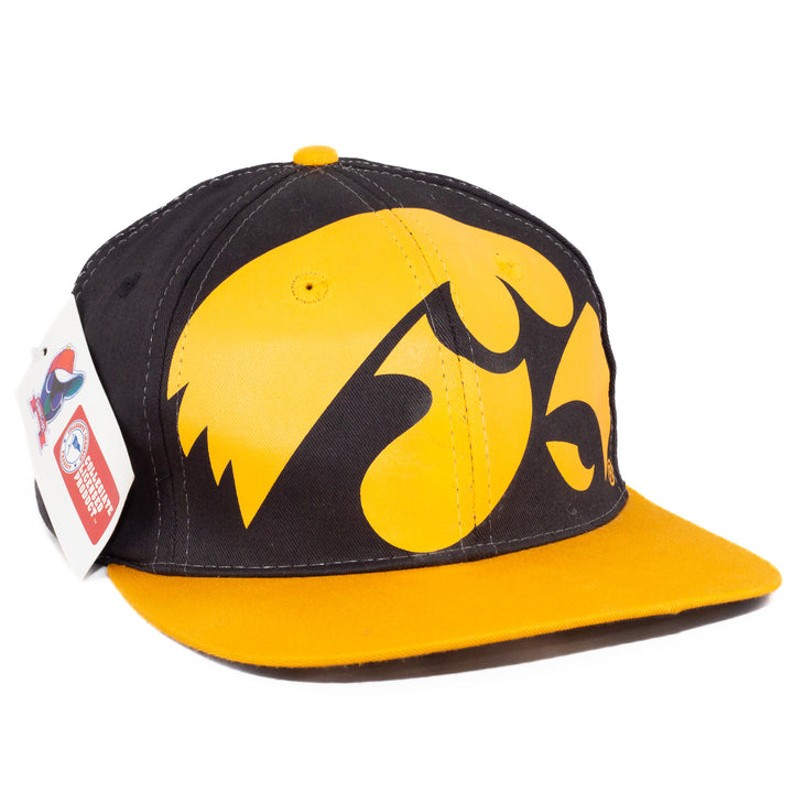 Iowa Hawkeyes
