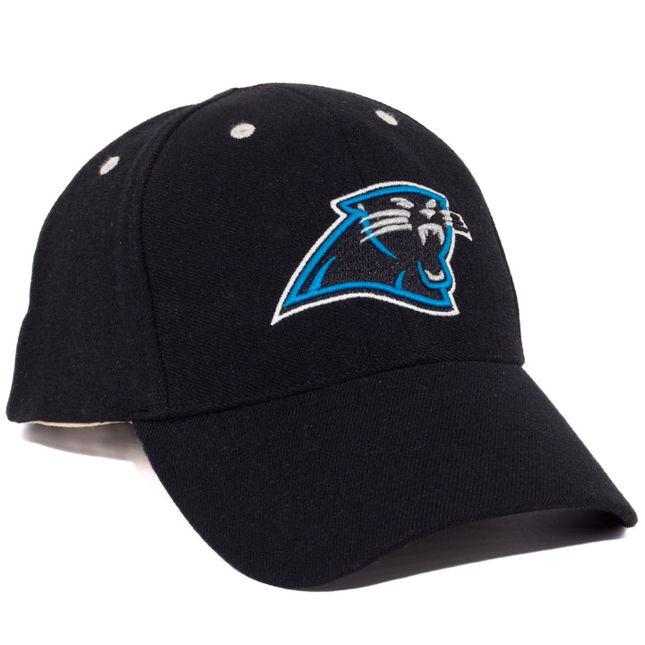 Carolina Panthers, NFL