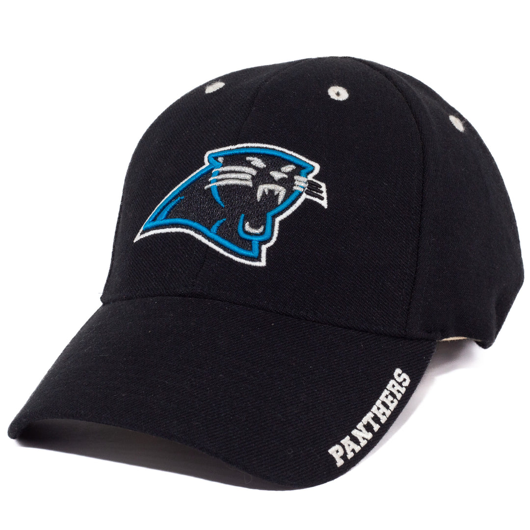 Carolina Panthers, NFL