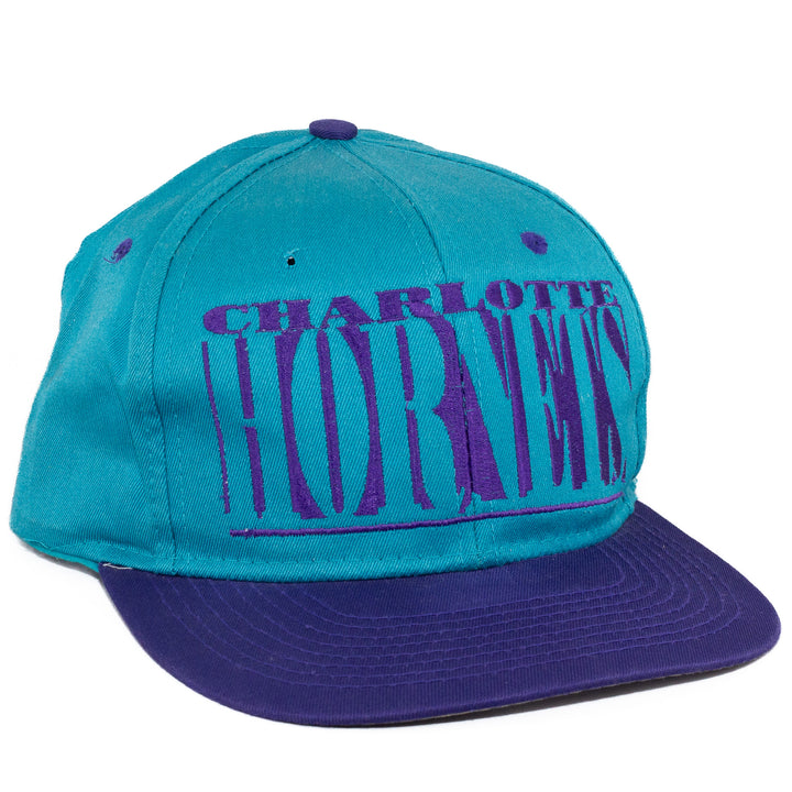 Charlotte Hornets, Logo 7