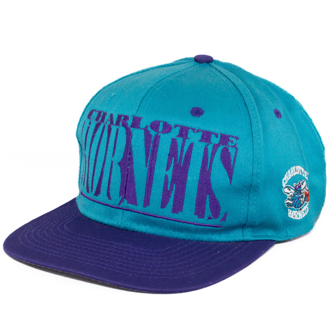 Charlotte Hornets, Logo 7