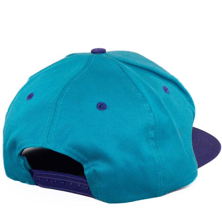 Charlotte Hornets, Logo 7