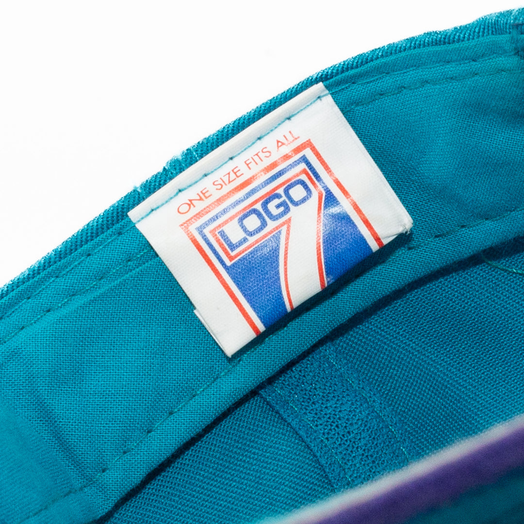 Charlotte Hornets, Logo 7