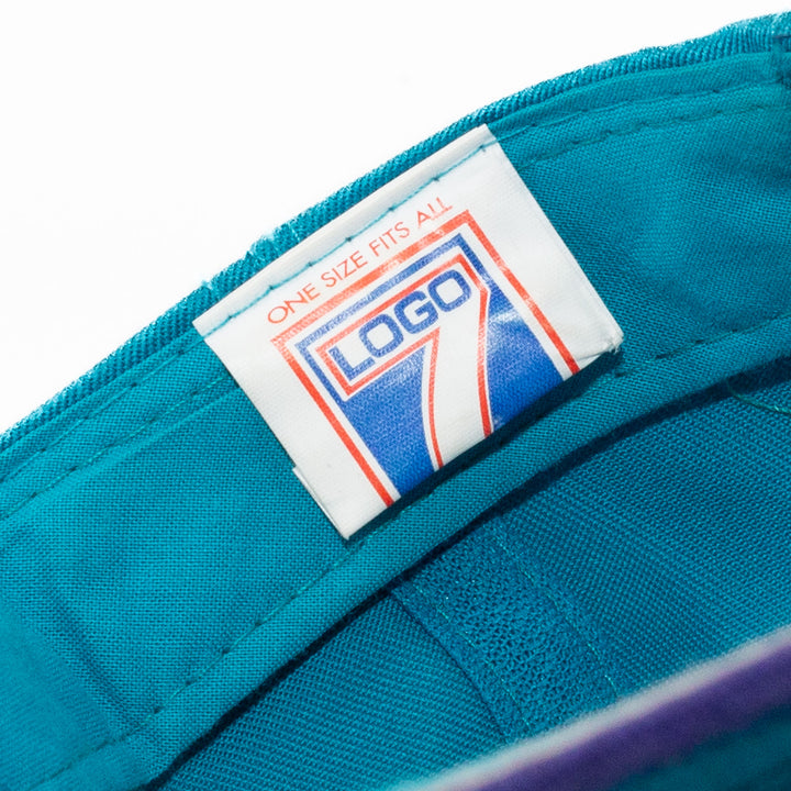Charlotte Hornets, Logo 7