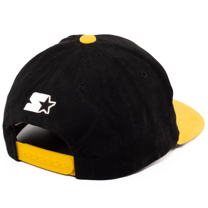 Pittsburgh Penguins, Starter, NHL