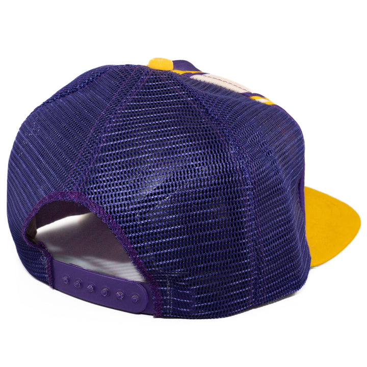 Minnesota Vikings, New Era, NFL