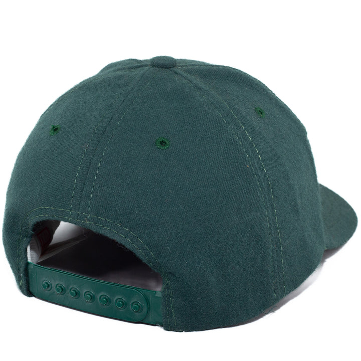 Minnesota Wild, NHL