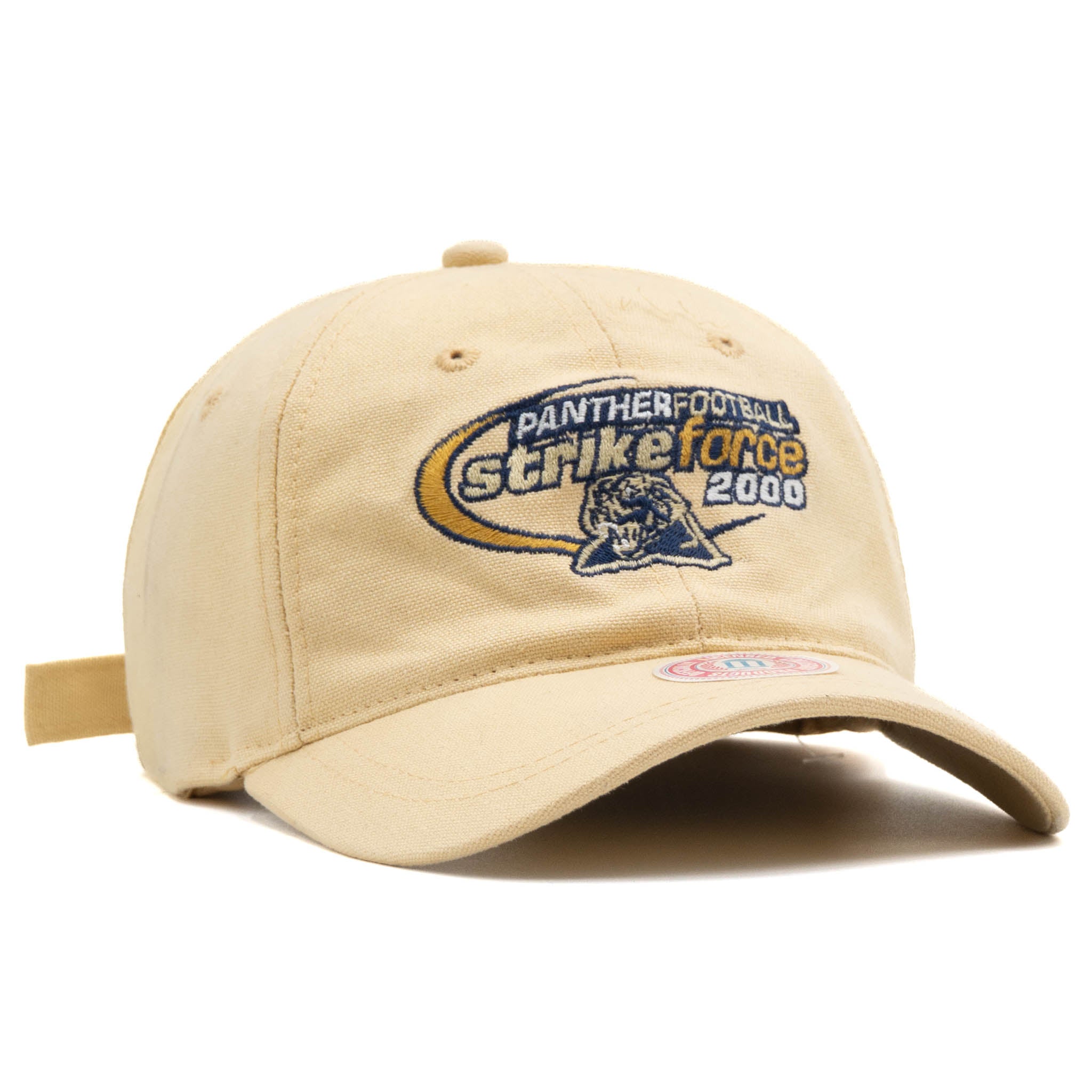 Headwear - Panther Football Strike Force - SNAG