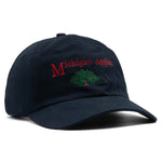 Headwear - Michigan Apples - SNAG