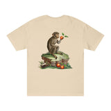Barbary Ape