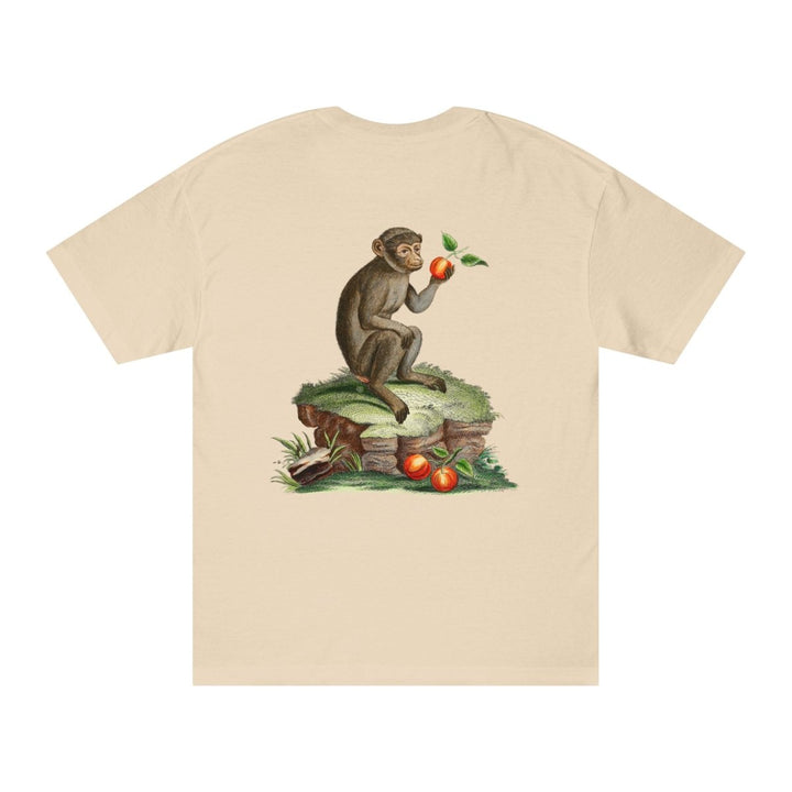 Barbary Ape
