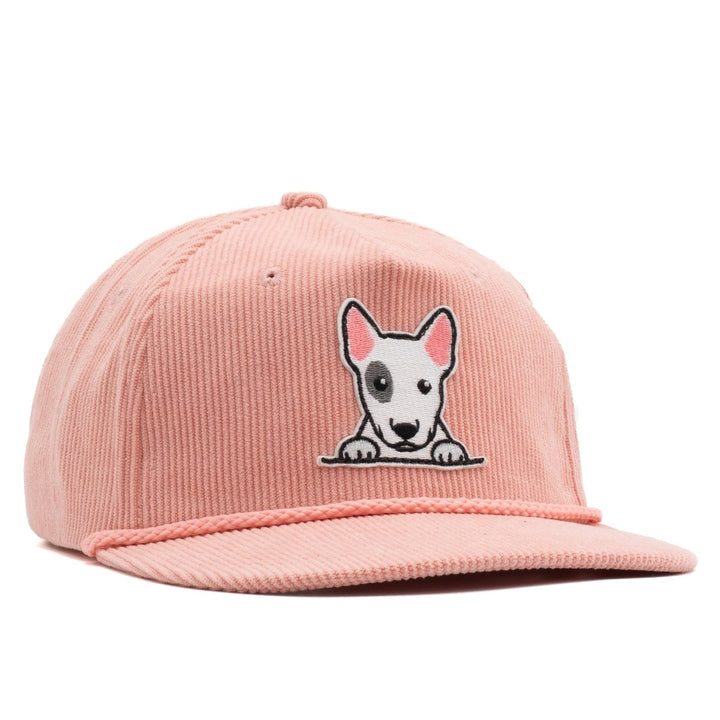 Bull Terrier