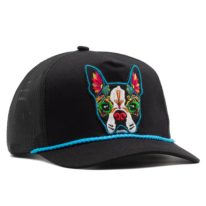 Calavera Pup