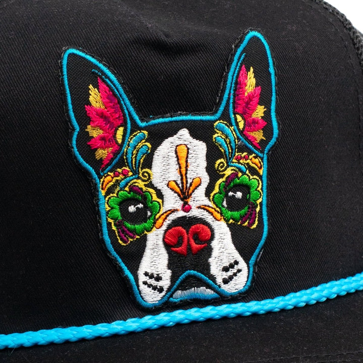 Calavera Pup