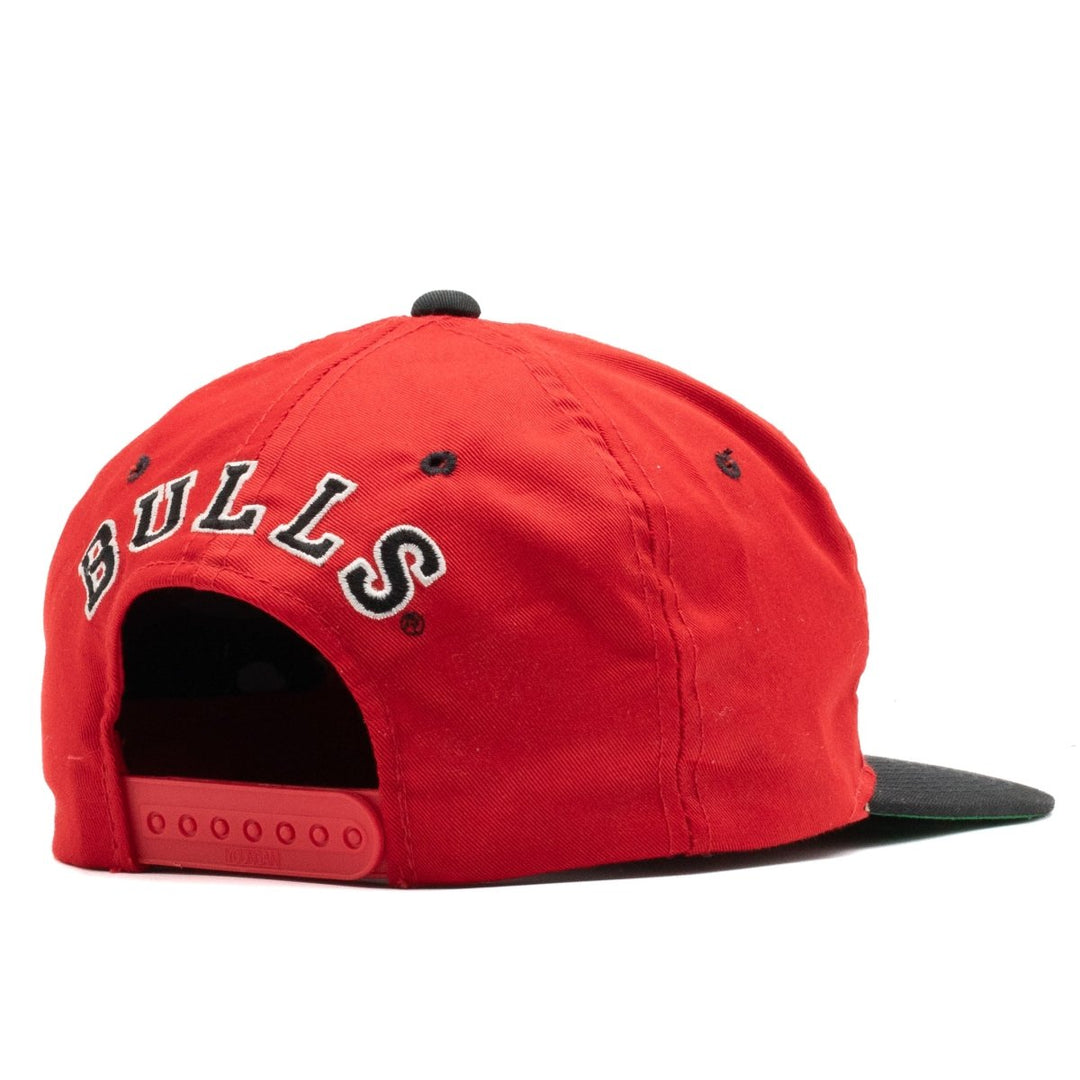 Chicago Bulls