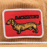 Headwear - Dachshund - SNAG