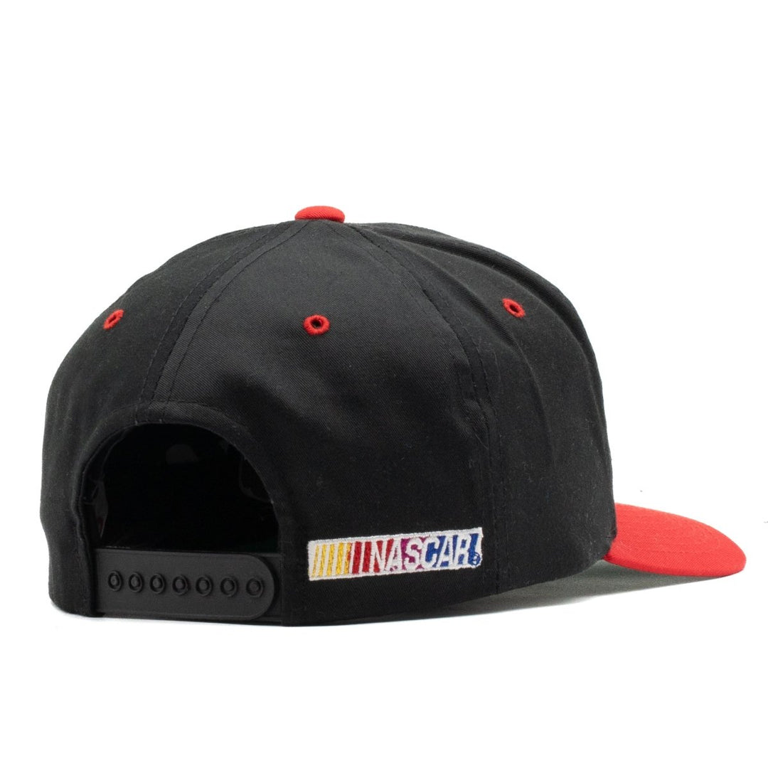 Dale Earnhardt
