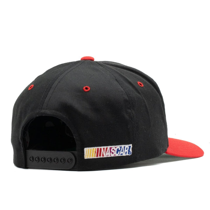 Dale Earnhardt