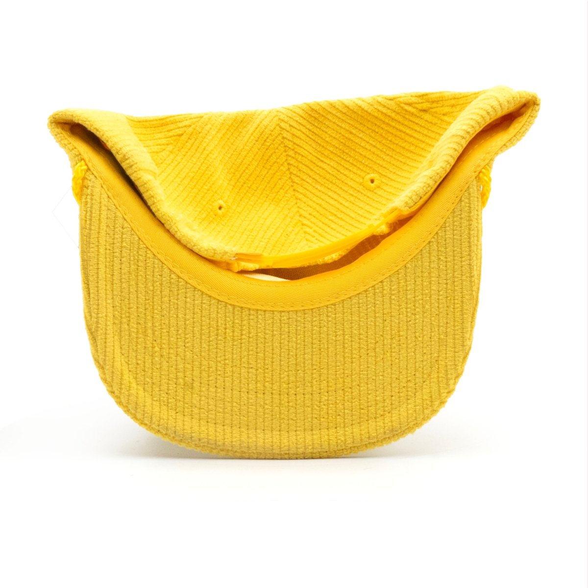 Headwear - Lemons Are Yellow - SNAG