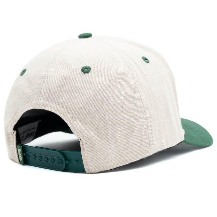 Miami Dolphins