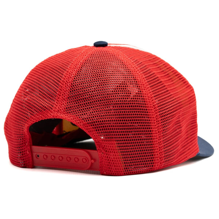 Minnesota Twins
