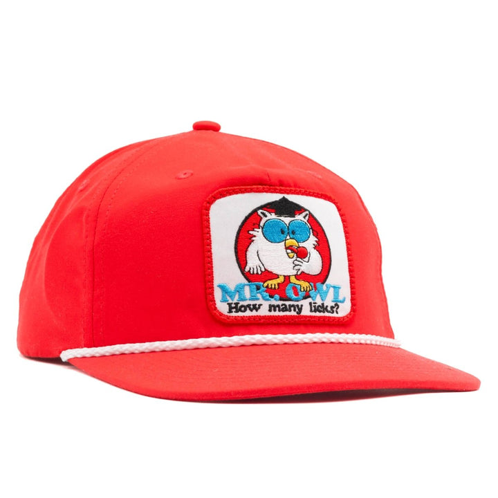 Mr. Owl, How Many Licks? Tootsie Pop