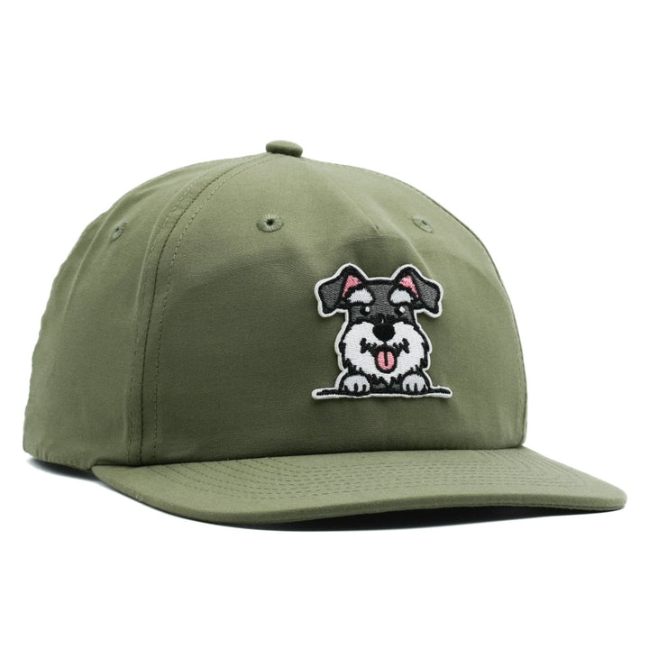 Schnauzer