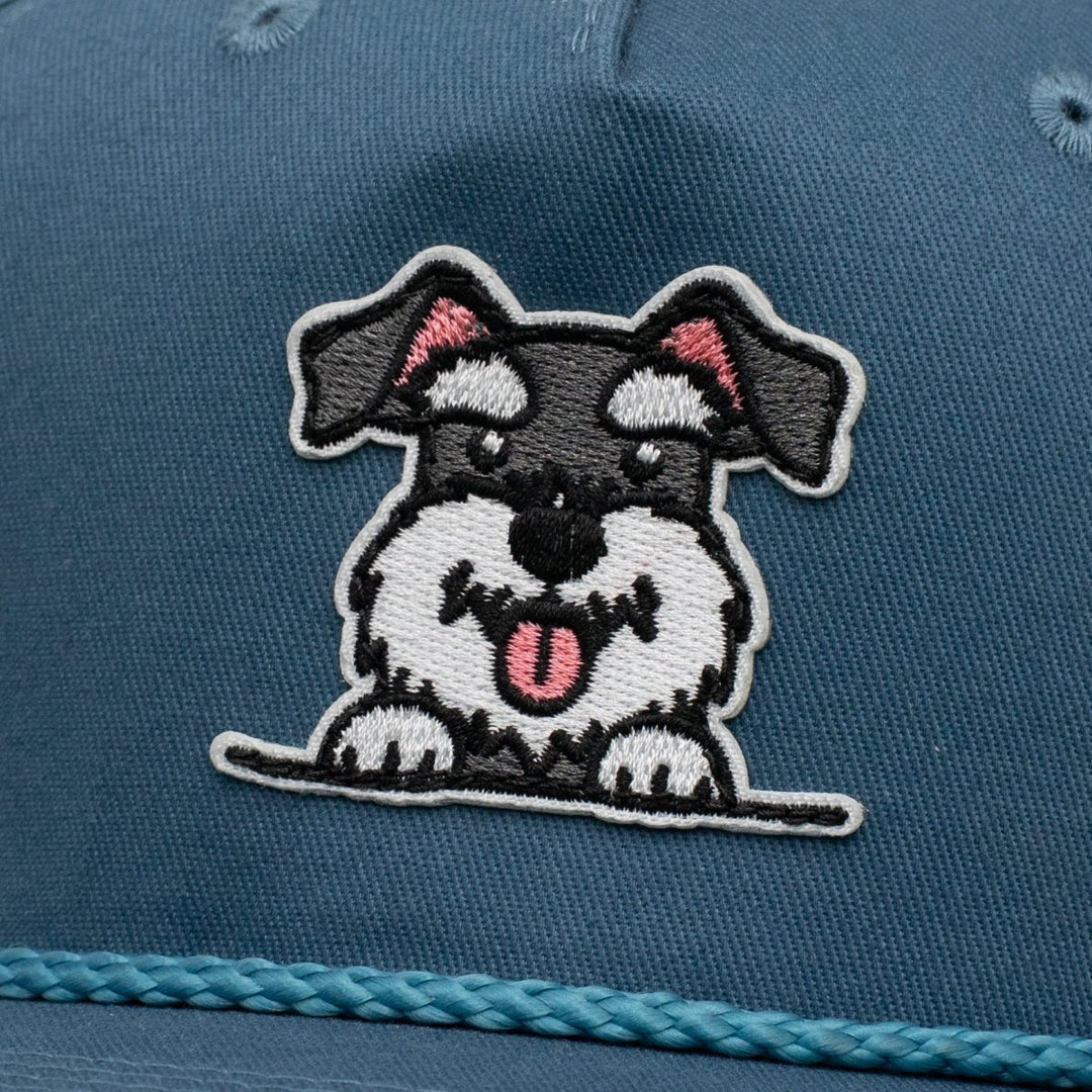 Schnauzer