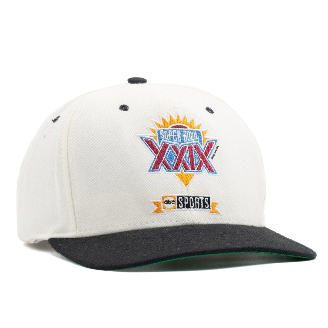 Super Bowl XXIX