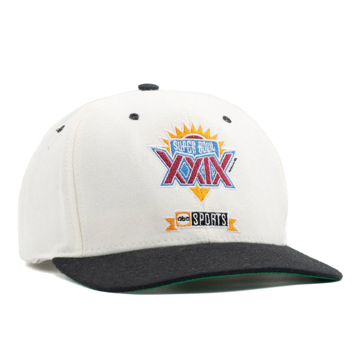 Super Bowl XXIX