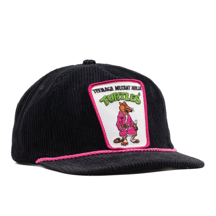 Teenage Mutant Ninja Turtles Splinter