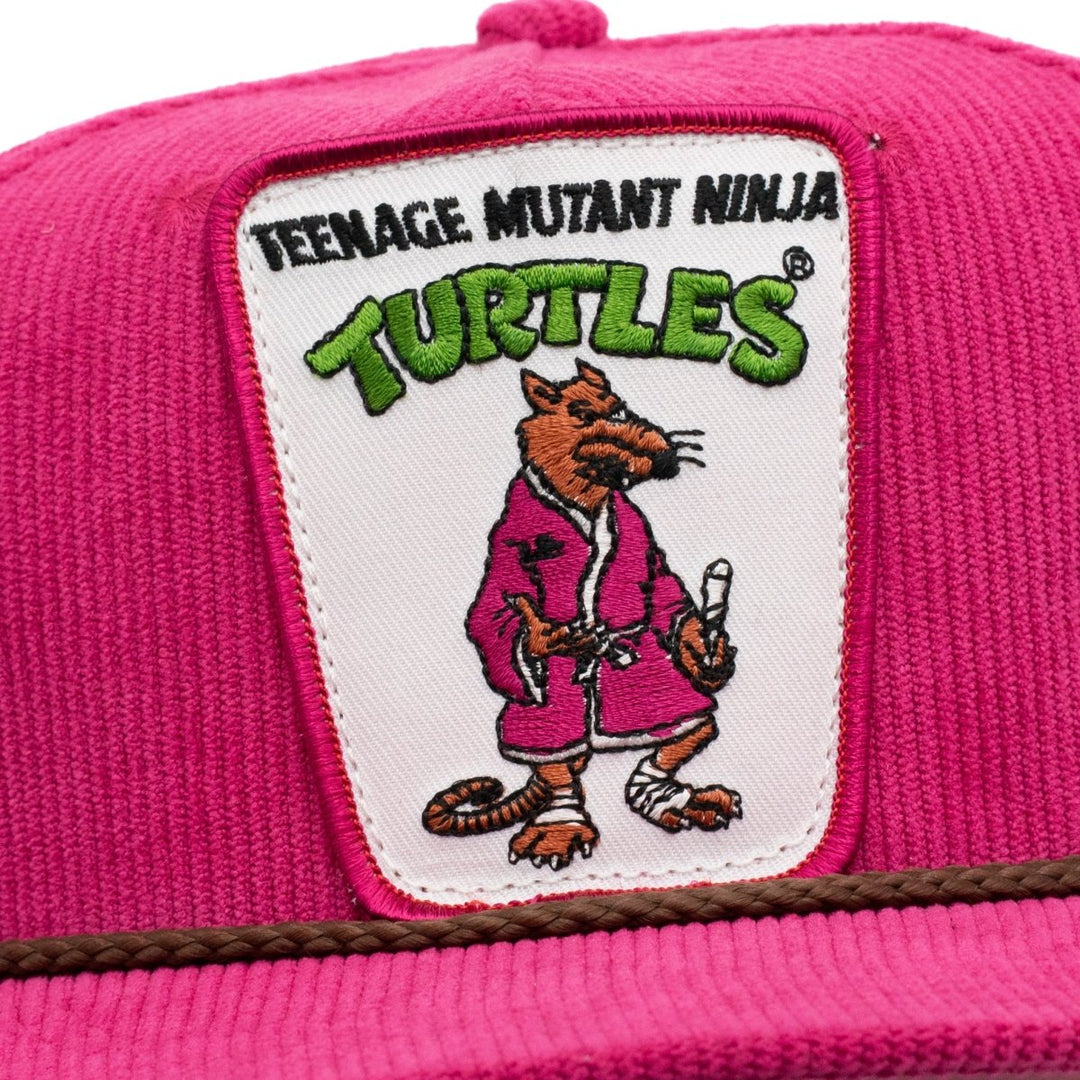 Teenage Mutant Ninja Turtles Splinter