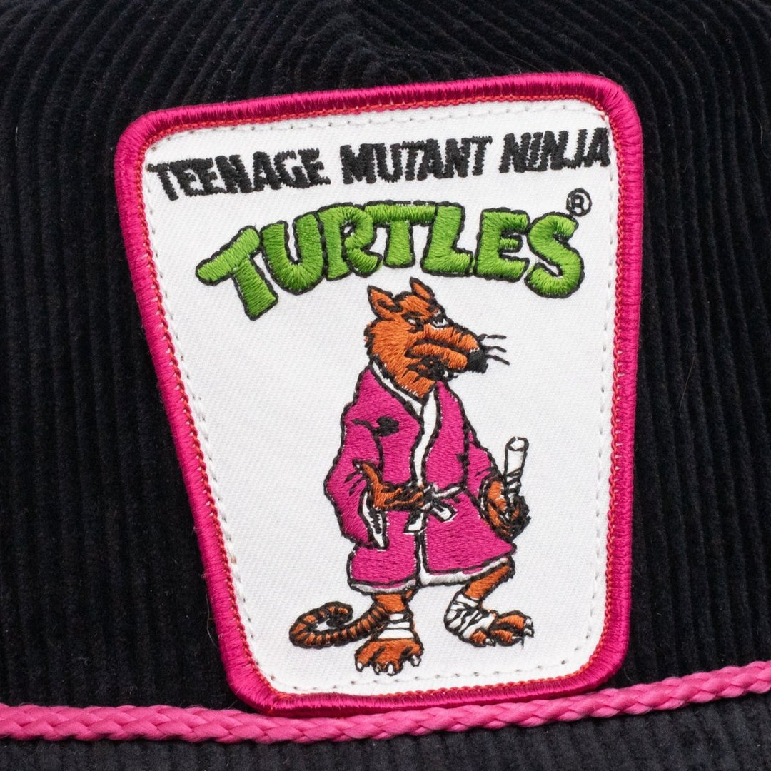 Teenage Mutant Ninja Turtles Splinter