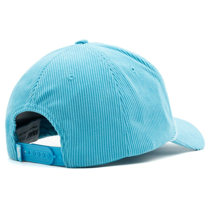 The Magic School Bus