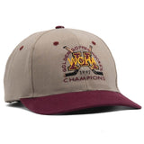 '97 WCHA Champions